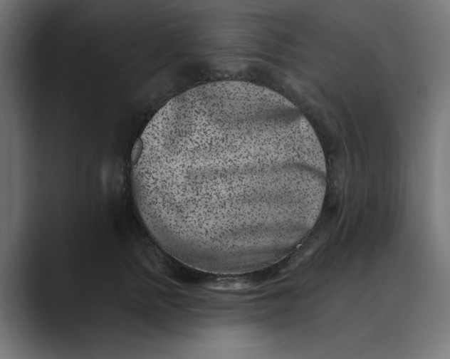 X0000089440758200706291425