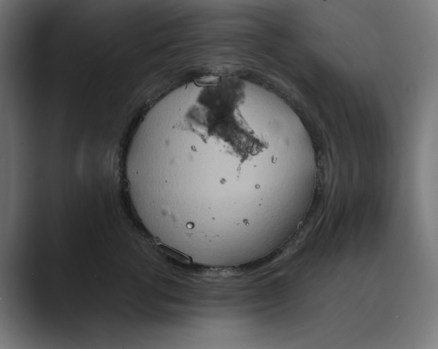 X0000089440762200706291425