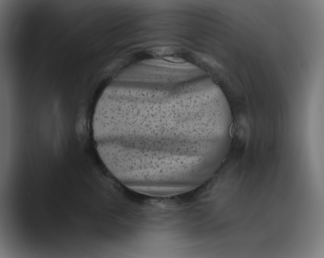 X0000089440763200706291425