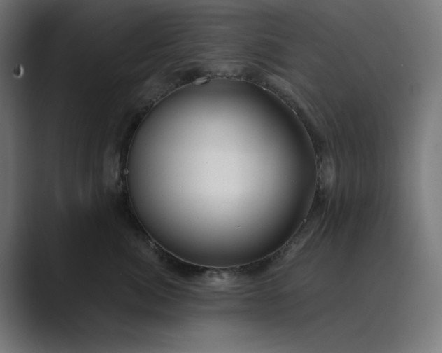 X0000089440764200706291425