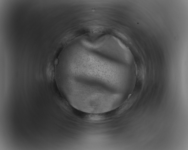 X0000089440766200706291425