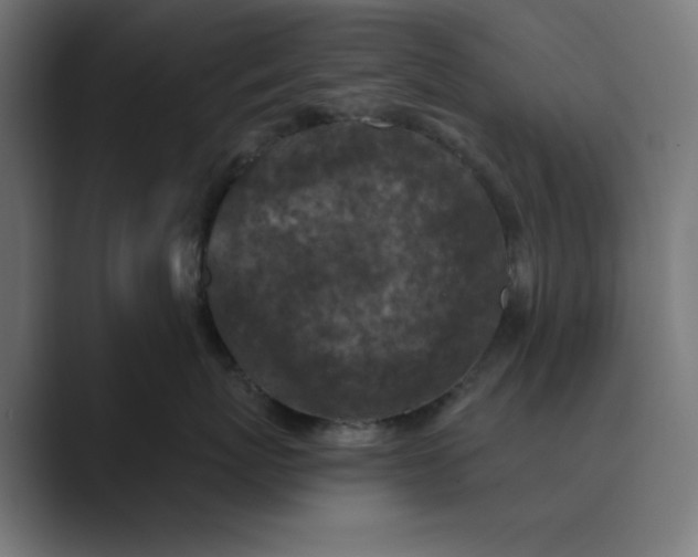 X0000089440767200706291425