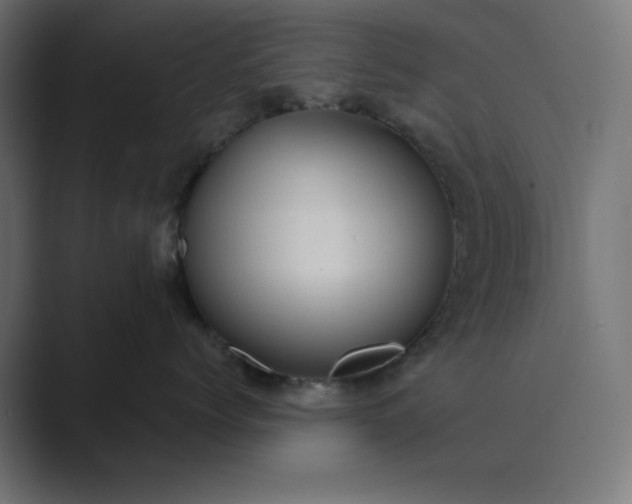 X0000089440768200706291425