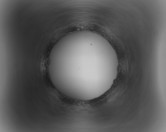 X0000089440770200706291424