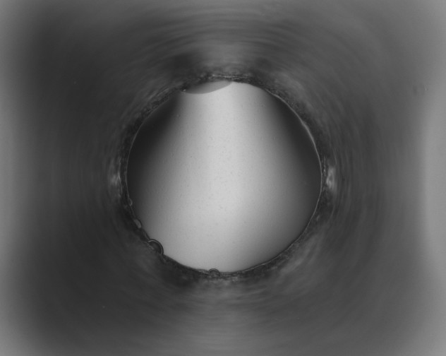 X0000089440771200706291424