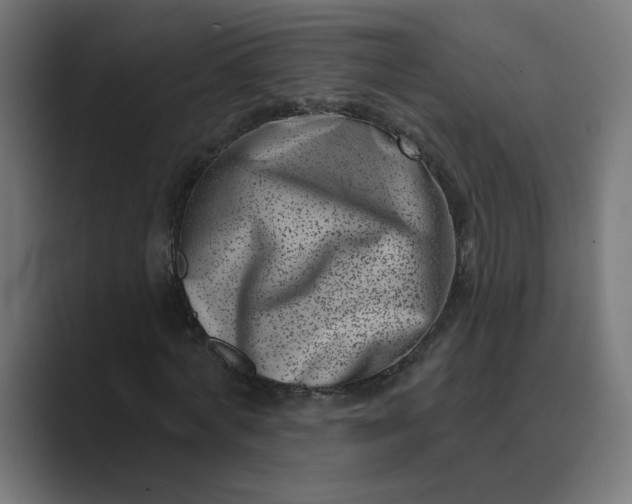 X0000089440772200706291424