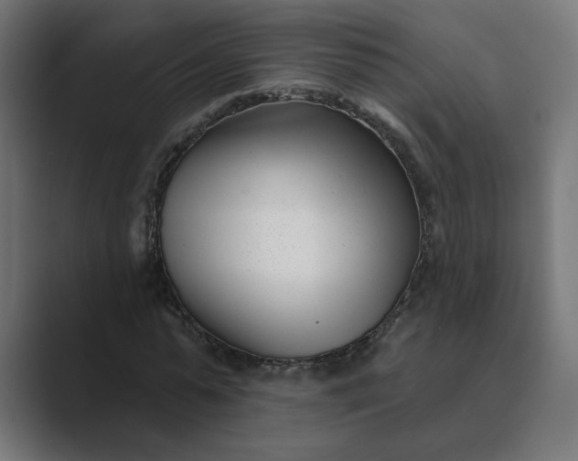 X0000089440775200706291424