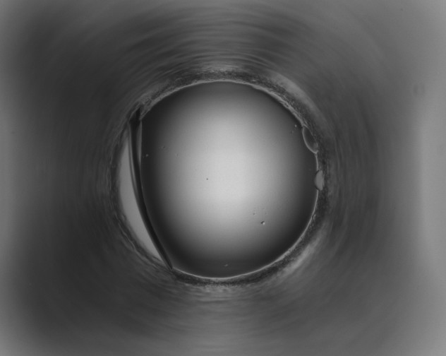 X0000089440777200706291424