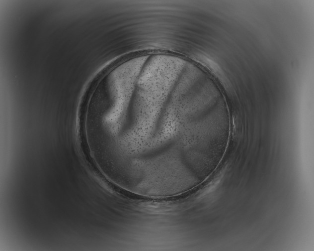 X0000089440780200706291424