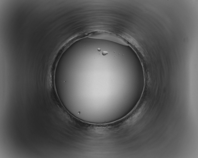 X0000089440782200706291424