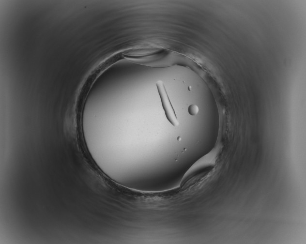 X0000089440784200706291424