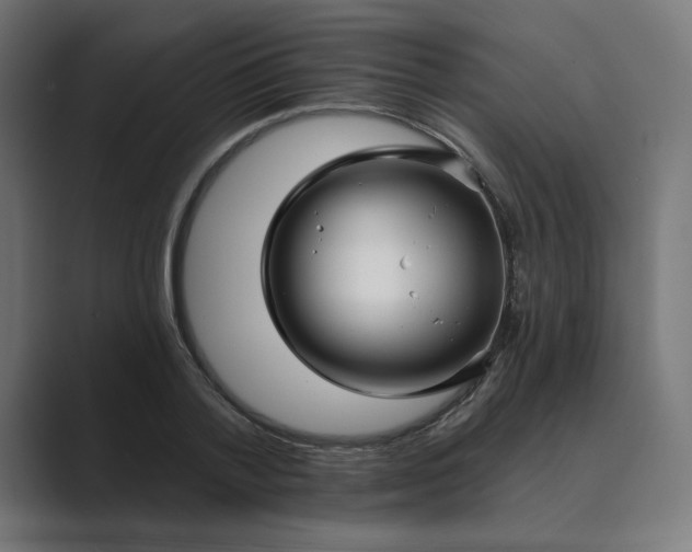 X0000089440788200706291424