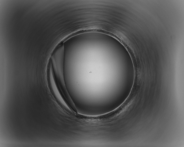 X0000089440789200706291424