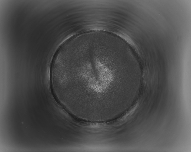 X0000089440790200706291424