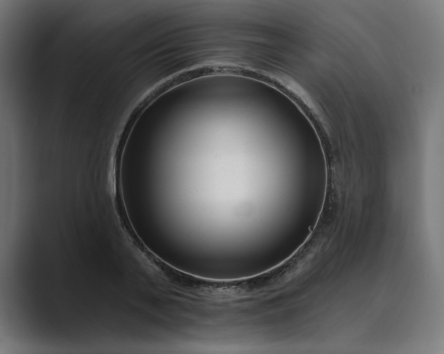 X0000089440791200706291424