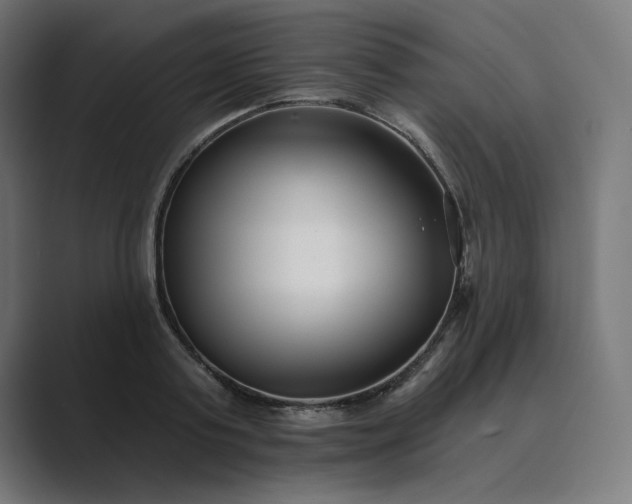 X0000089440795200706291424