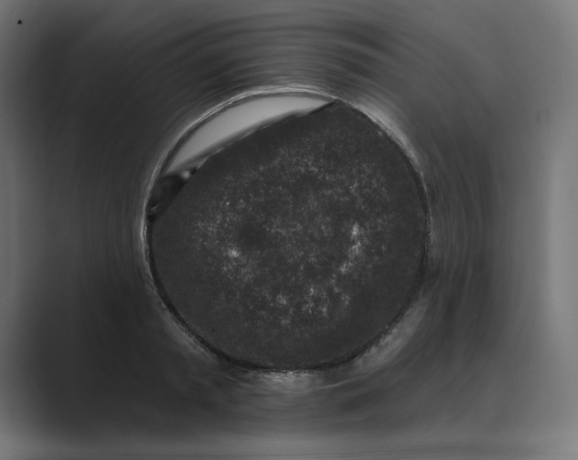 X0000089440797200706291424