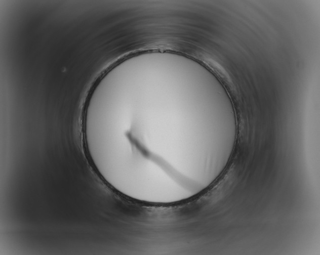 X0000089440800200706291424