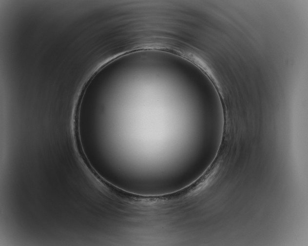 X0000089440803200706291424