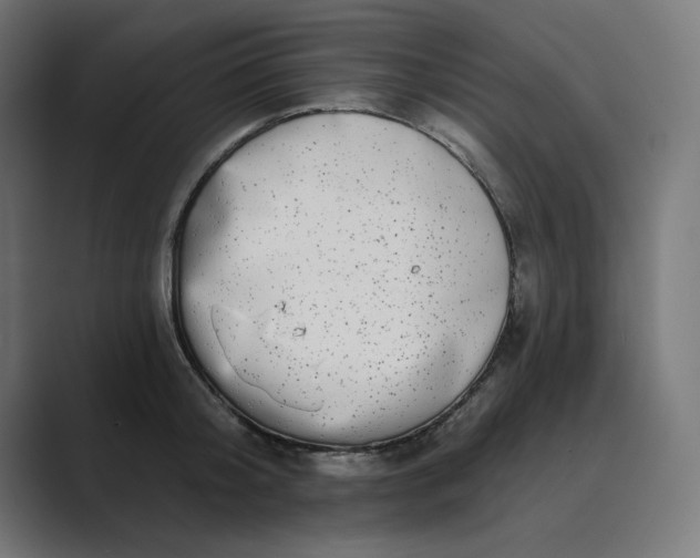 X0000089440804200706291424