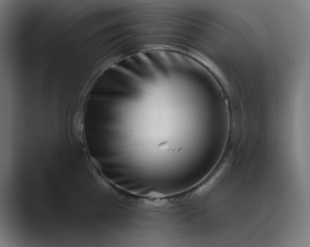 X0000089440809200706291424