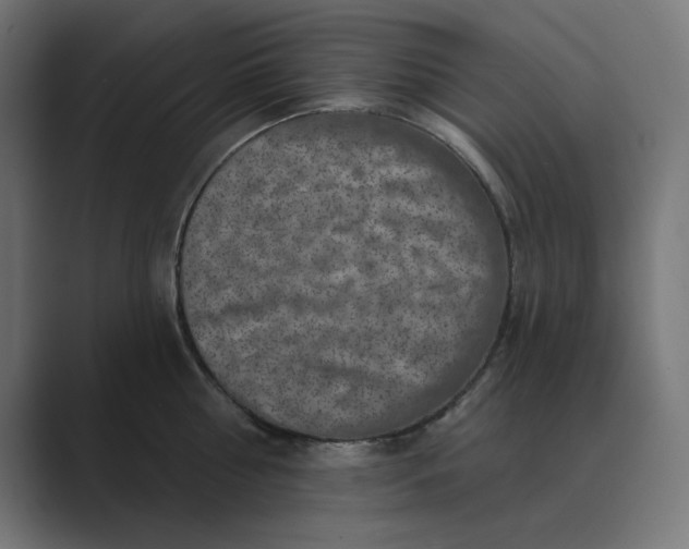 X0000089440810200706291424