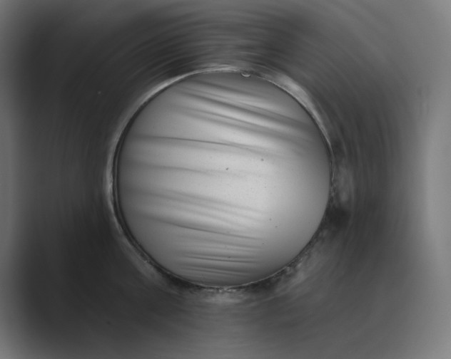 X0000089440811200706291424