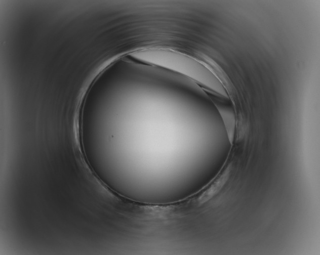 X0000089440812200706291424