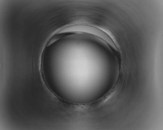 X0000089440815200706291424