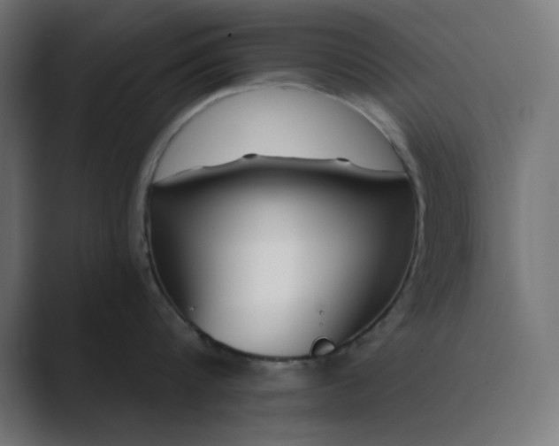 X0000089440816200706291424