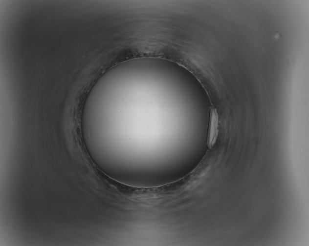 X0000089440817200706291423