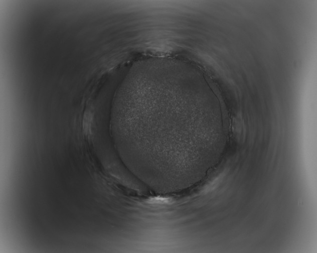 X0000089440818200706291423