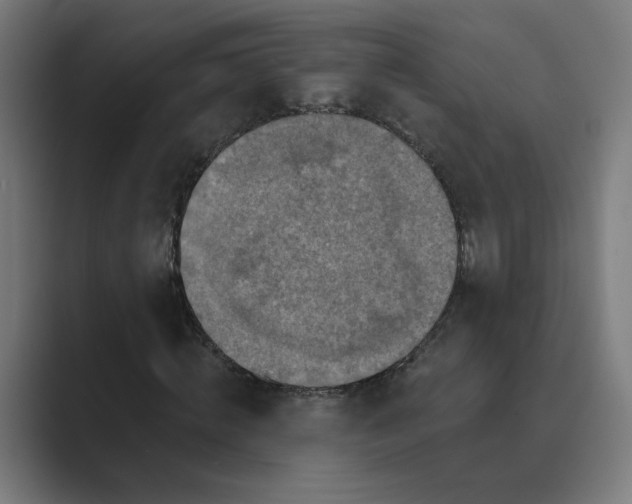 X0000089440820200706291423