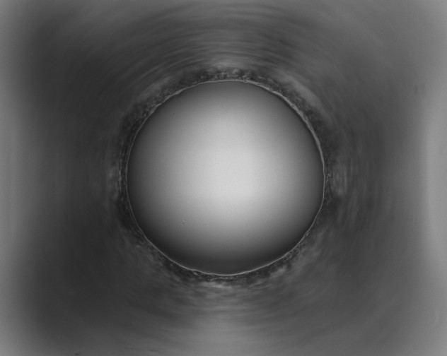 X0000089440821200706291423