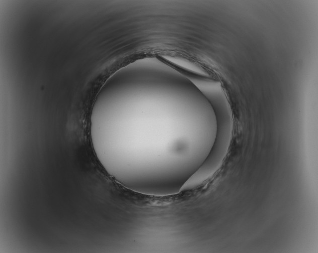 X0000089440822200706291423