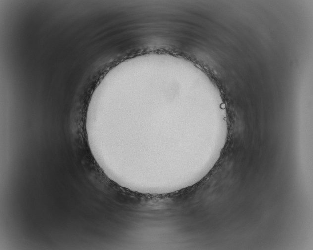 X0000089440824200706291423