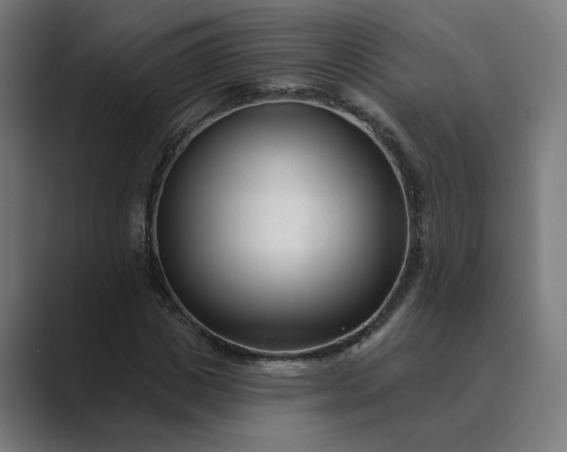 X0000089440825200706291423