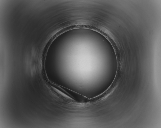 X0000089440829200706291423