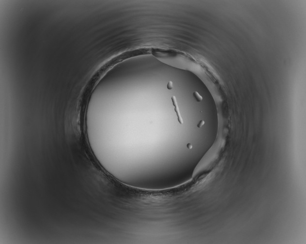 X0000089440830200706291423