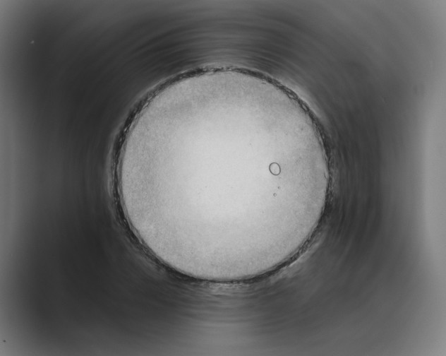 X0000089440832200706291423