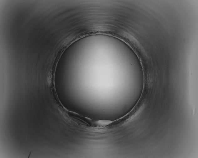 X0000089440833200706291423