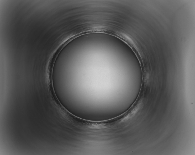 X0000089440835200706291423