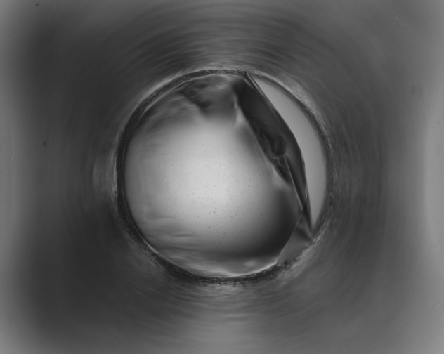 X0000089440838200706291423