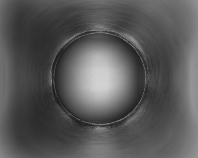 X0000089440839200706291423