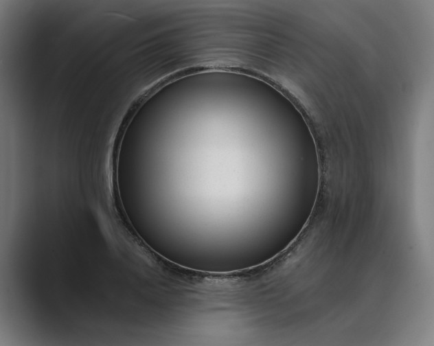 X0000089440840200706291423