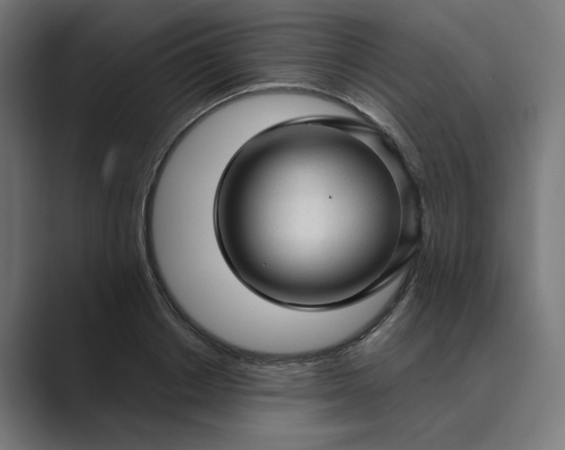 X0000089440842200706291423