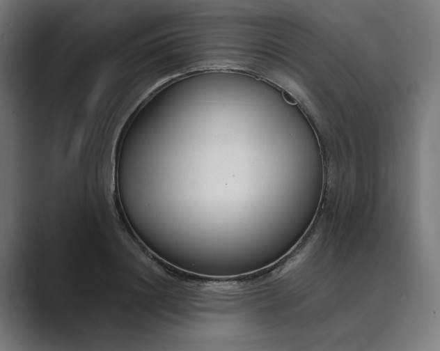 X0000089440844200706291424