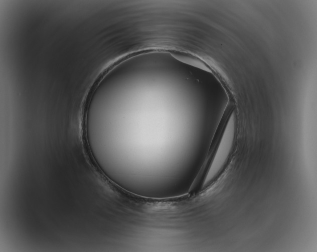 X0000089440846200706291424