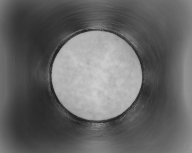 X0000089440848200706291424