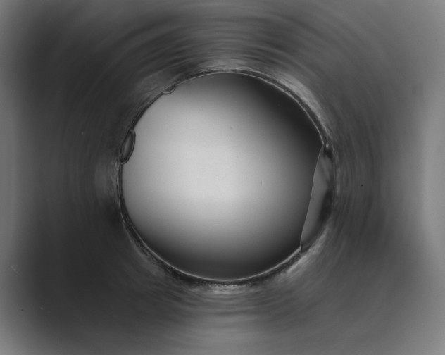 X0000089440849200706291424